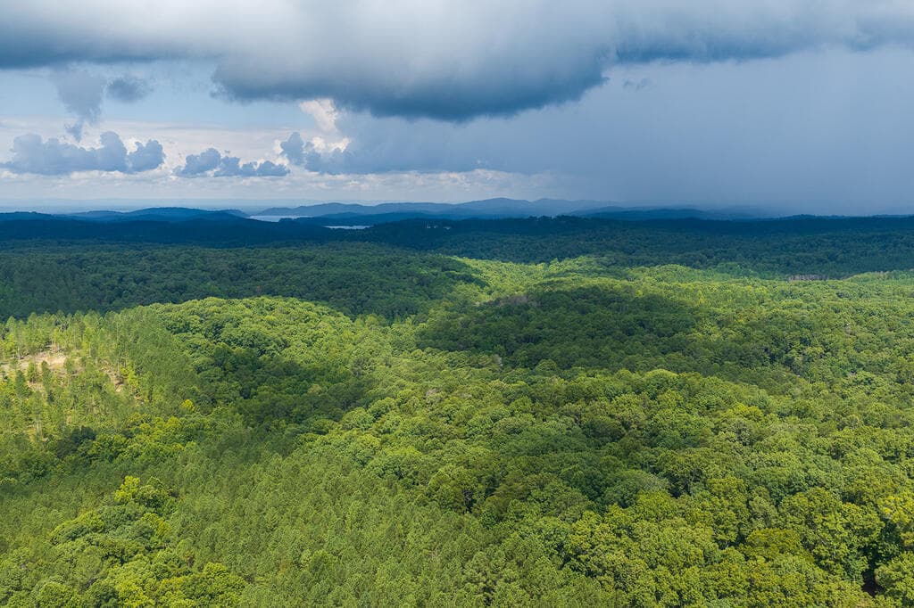 300 Sumac Lane, Ellijay GA 30540 - Photo
