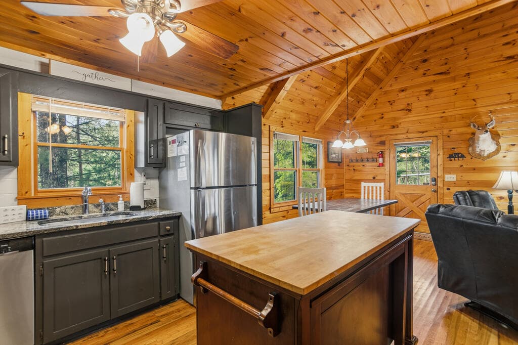 142 Oak Hill Drive, Mineral Bluff GA 30559 - Photo
