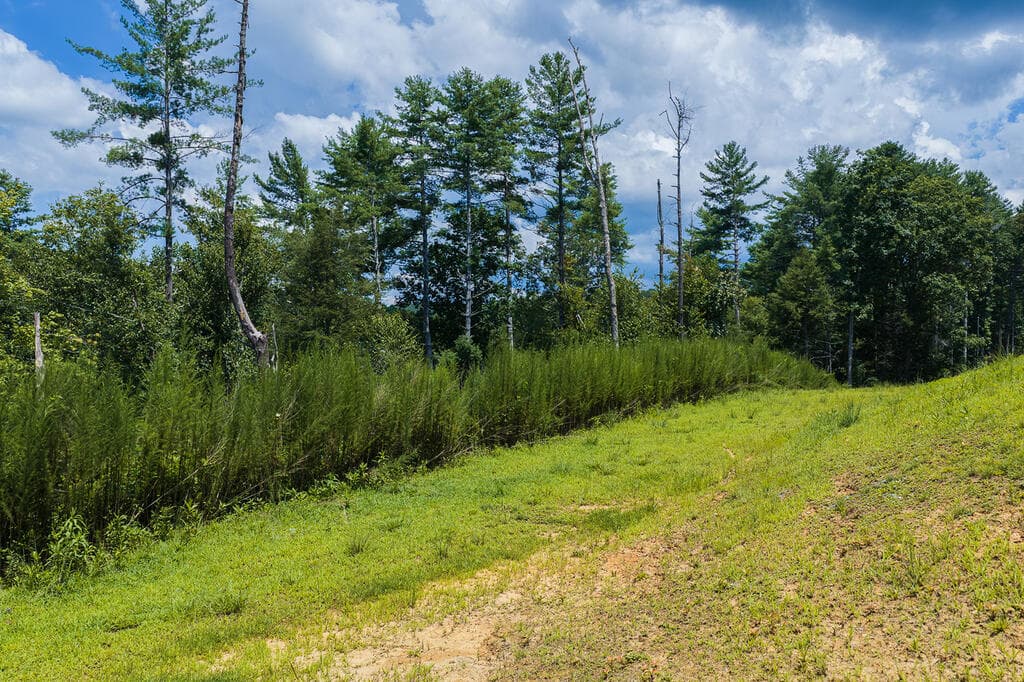 Tract C Hicks Ford Road, Ellijay GA 30540 - Photo
