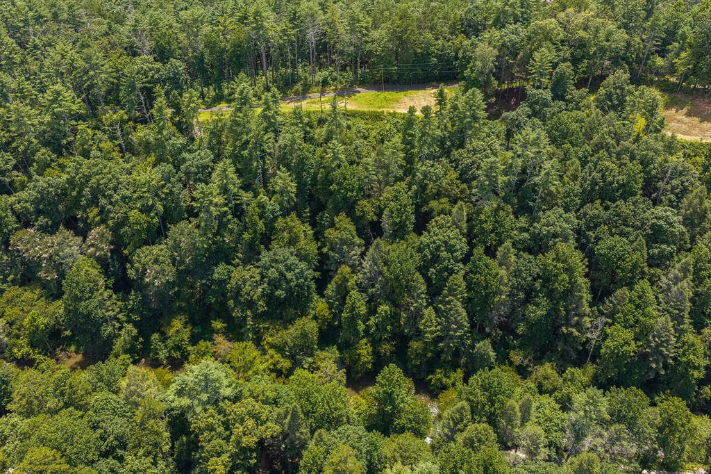 Tract C Hicks Ford Road, Ellijay GA 30540 - Photo