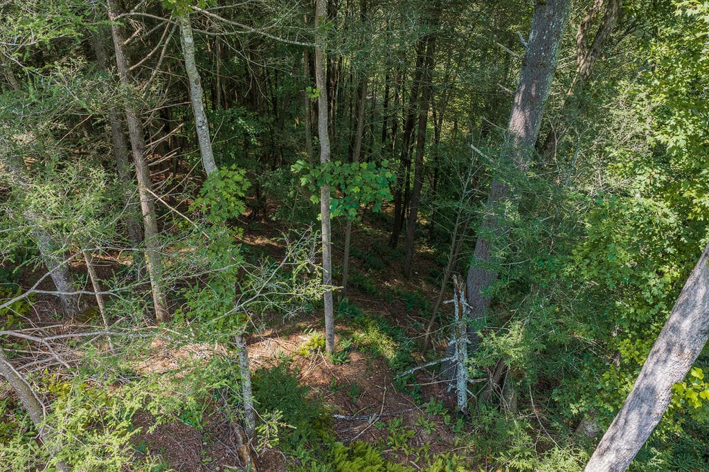Tract C Hicks Ford Road, Ellijay GA 30540 - Photo