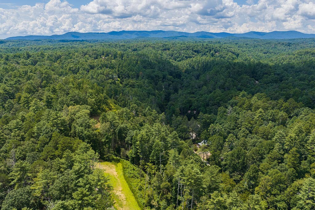 Tract C Hicks Ford Road, Ellijay GA 30540 - Photo