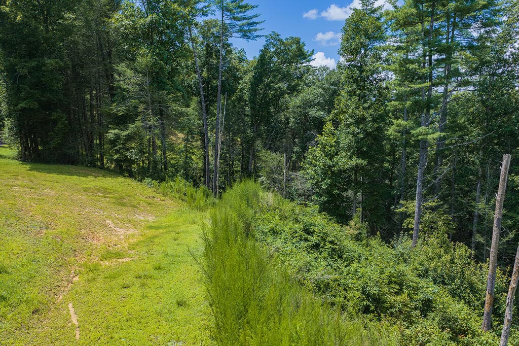 Tract C Hicks Ford Road, Ellijay GA 30540 - Photo