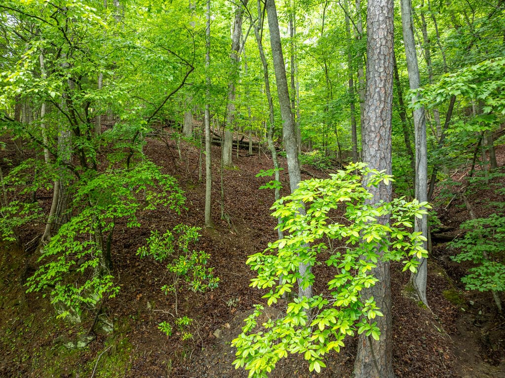 LT 2601 Parker Way, Ellijay GA 30540 - Photo
