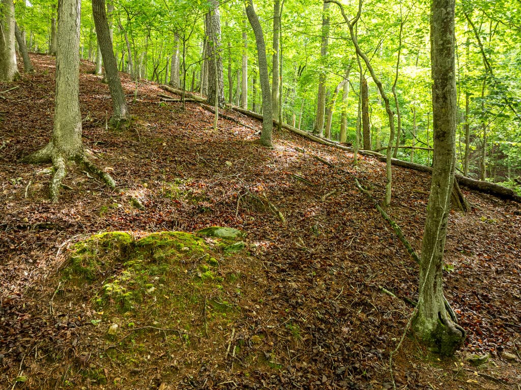 LT 2601 Parker Way, Ellijay GA 30540 - Photo