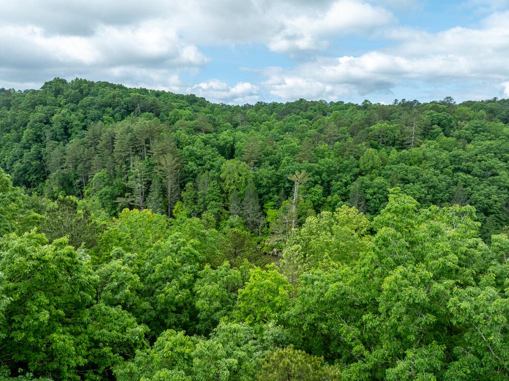 LT 2601 Parker Way, Ellijay GA 30540 - Photo