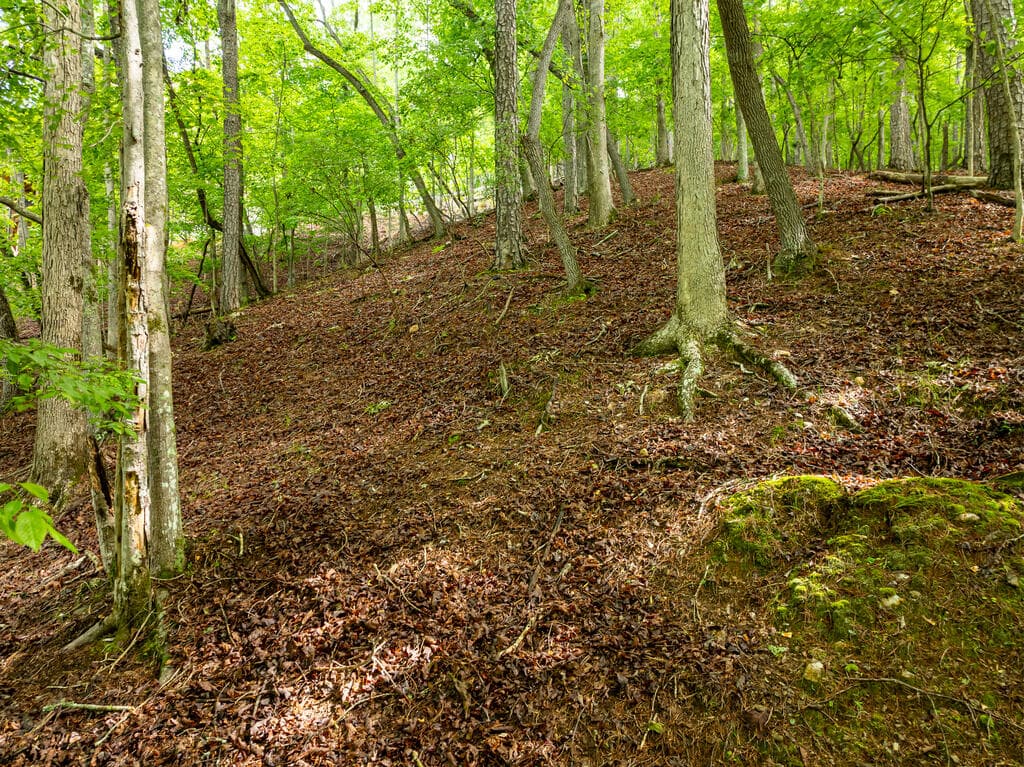 LT 2601 Parker Way, Ellijay GA 30540 - Photo