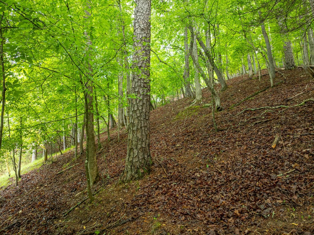 LT 2601 Parker Way, Ellijay GA 30540 - Photo