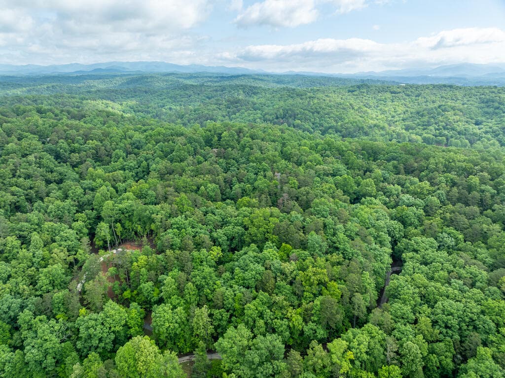LT 2601 Parker Way, Ellijay GA 30540 - Photo