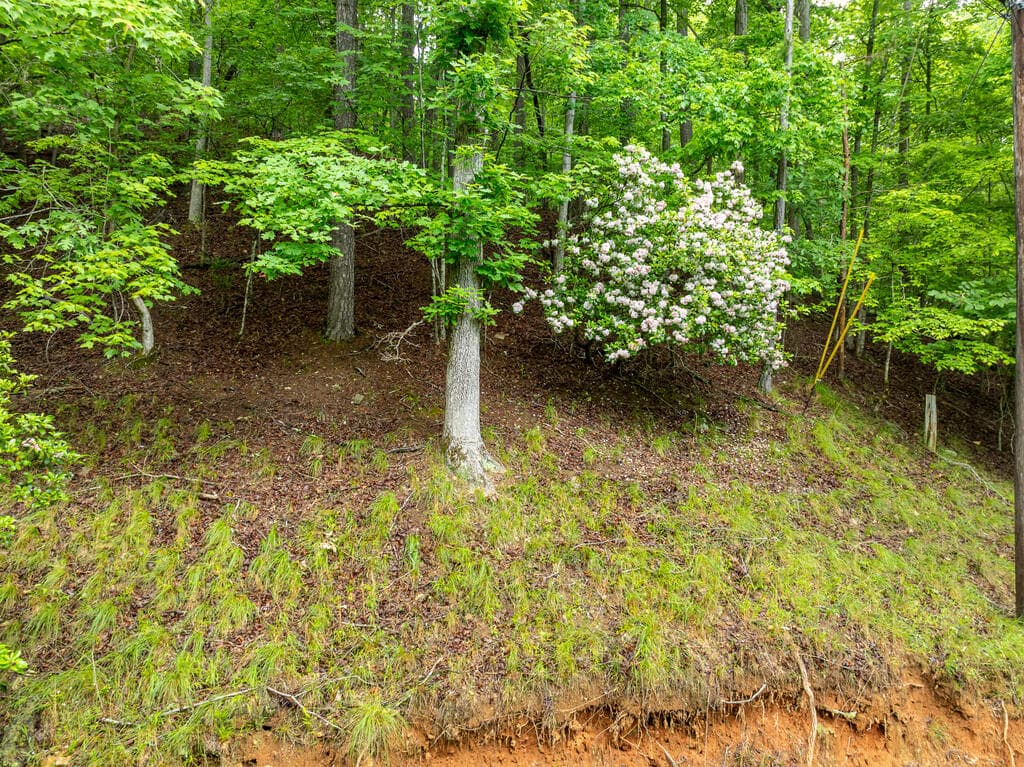 LT 2601 Parker Way, Ellijay GA 30540 - Photo