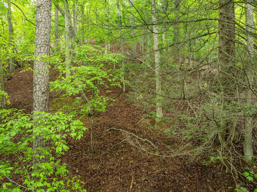 LT 2601 Parker Way, Ellijay GA 30540 - Photo