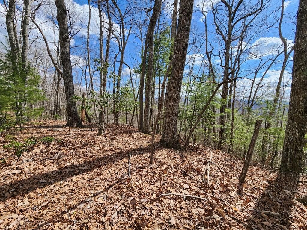 00 Camp Branch Road, Topton NC 28783 - Photo