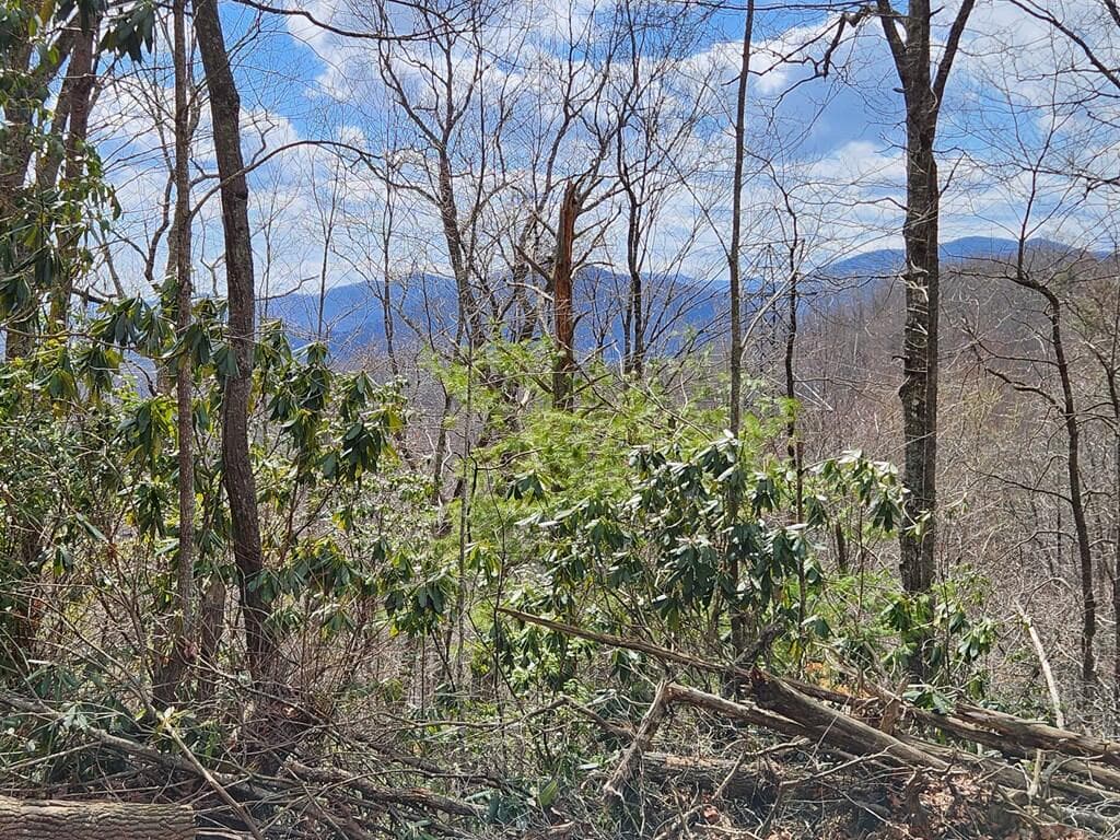 00 Camp Branch Road, Topton NC 28783 - Photo