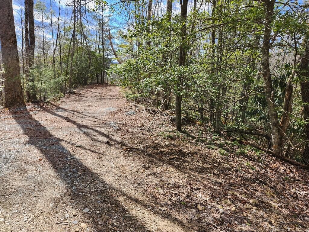 00 Camp Branch Road, Topton NC 28783 - Photo