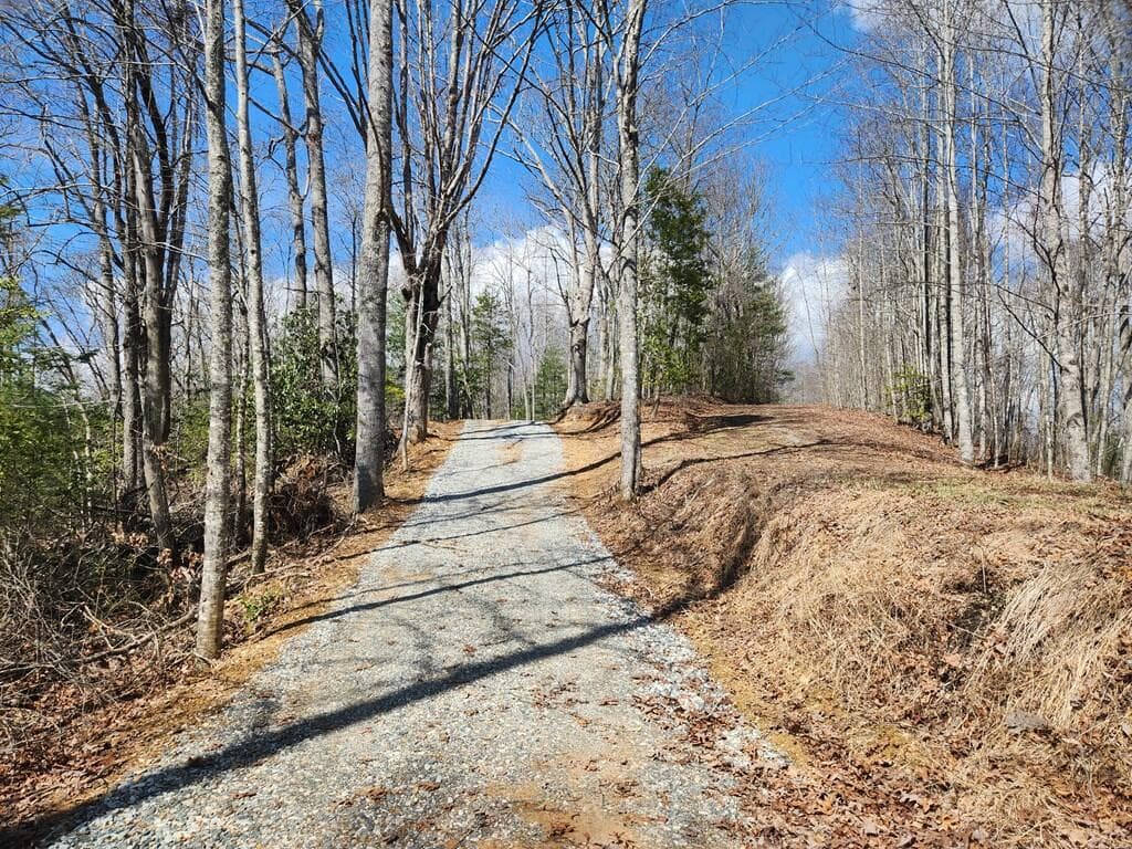00 Camp Branch Road, Topton NC 28783 - Photo