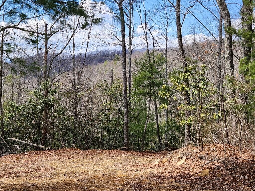 00 Camp Branch Road, Topton NC 28783 - Photo