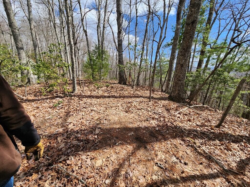 00 Camp Branch Road, Topton NC 28783 - Photo