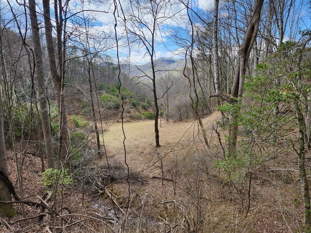 00 Camp Branch Road, Topton NC 28783 - Photo