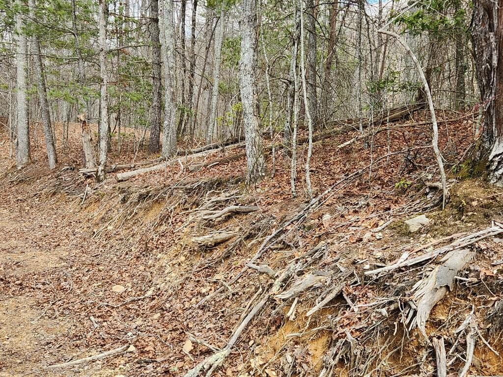 00 Camp Branch Road, Topton NC 28783 - Photo