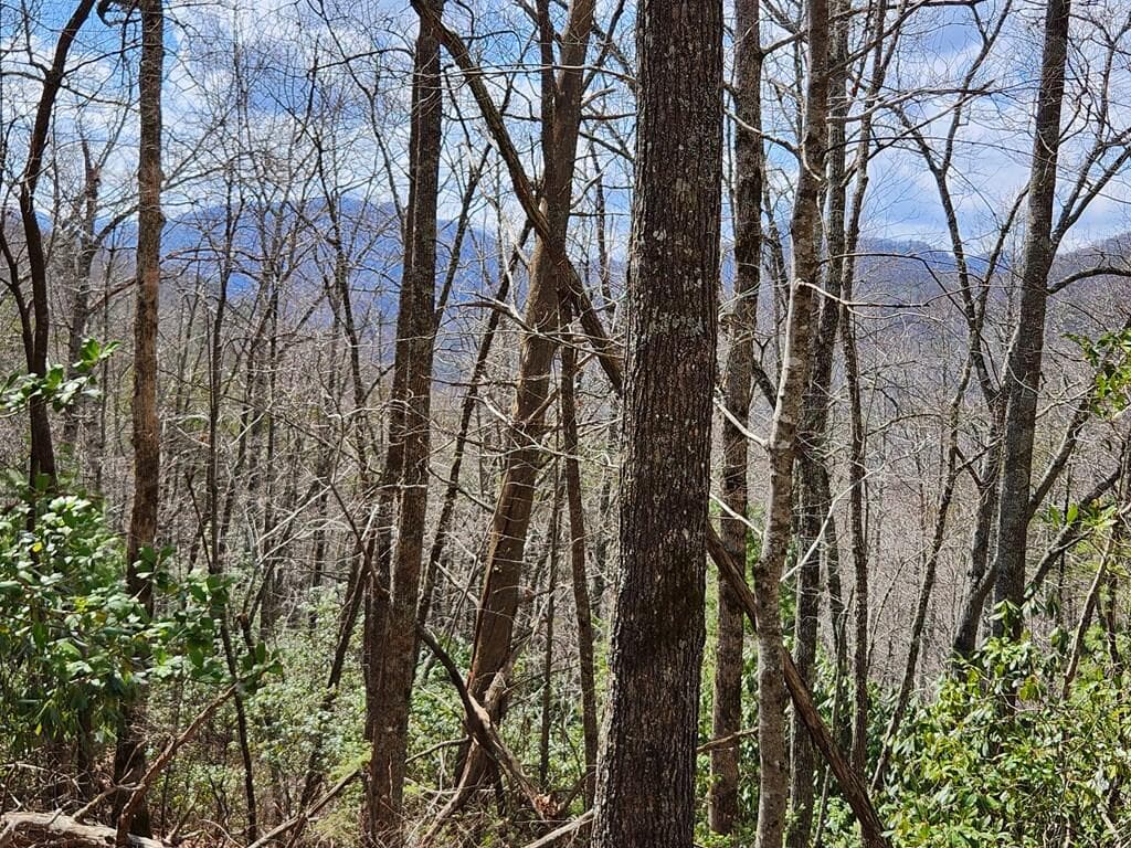 00 Camp Branch Road, Topton NC 28783 - Photo