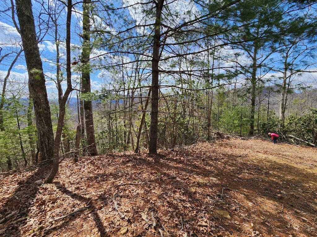 00 Camp Branch Road, Topton NC 28783 - Photo