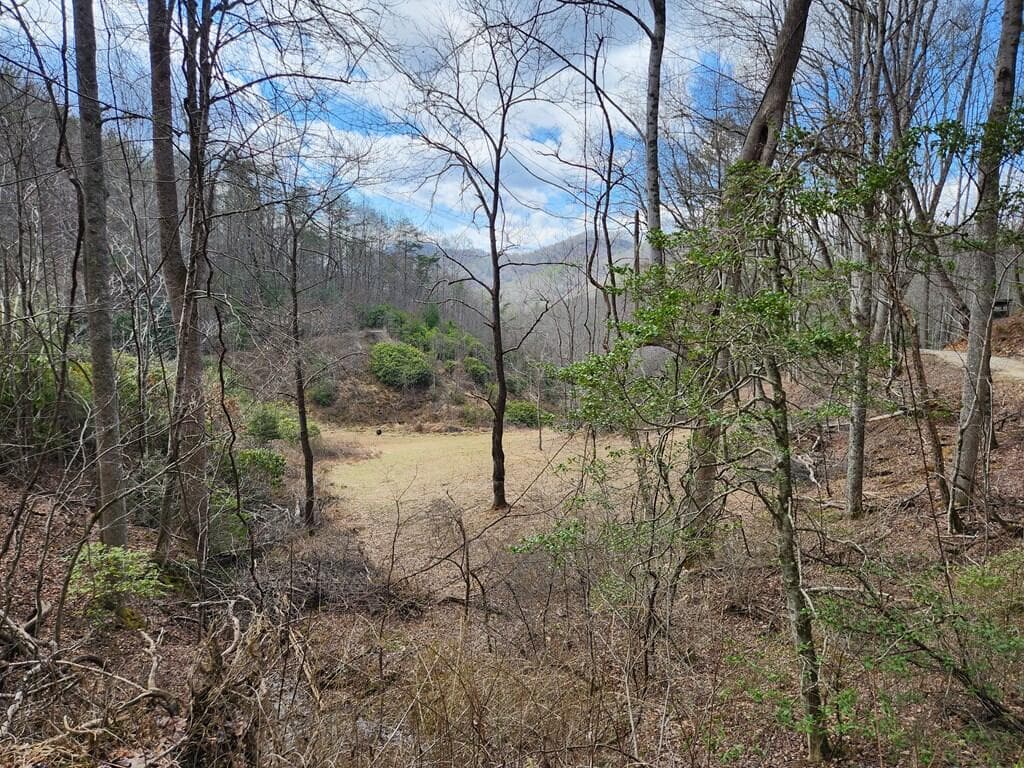 00 Camp Branch Road, Topton NC 28783 - Photo