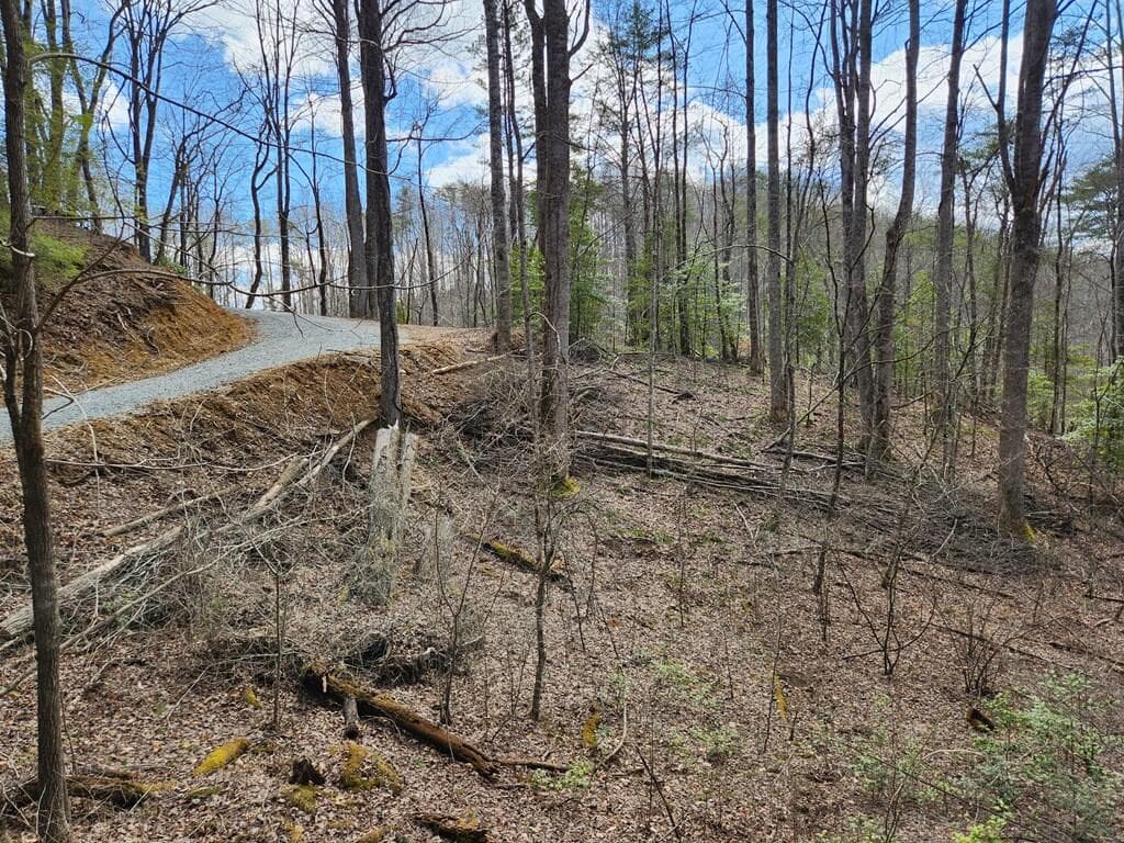 00 Camp Branch Road, Topton NC 28783 - Photo