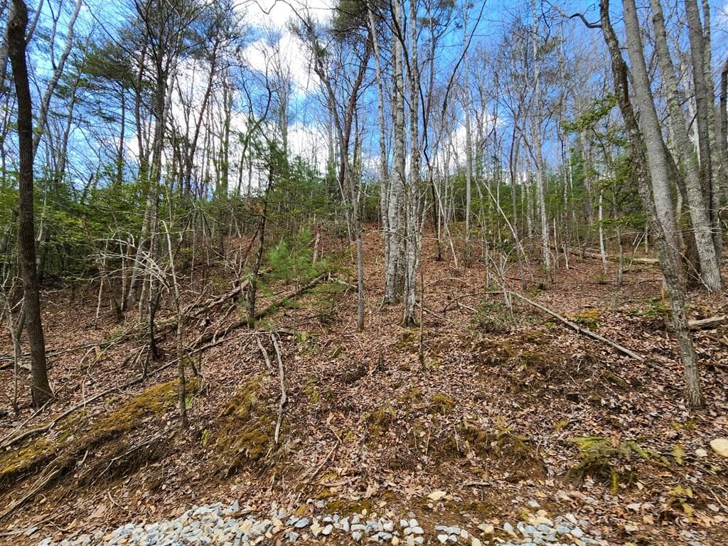 00 Camp Branch Road, Topton NC 28783 - Photo