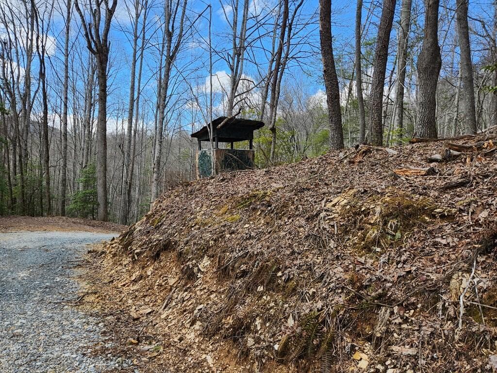 00 Camp Branch Road, Topton NC 28783 - Photo