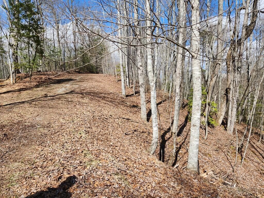 00 Camp Branch Road, Topton NC 28783 - Photo