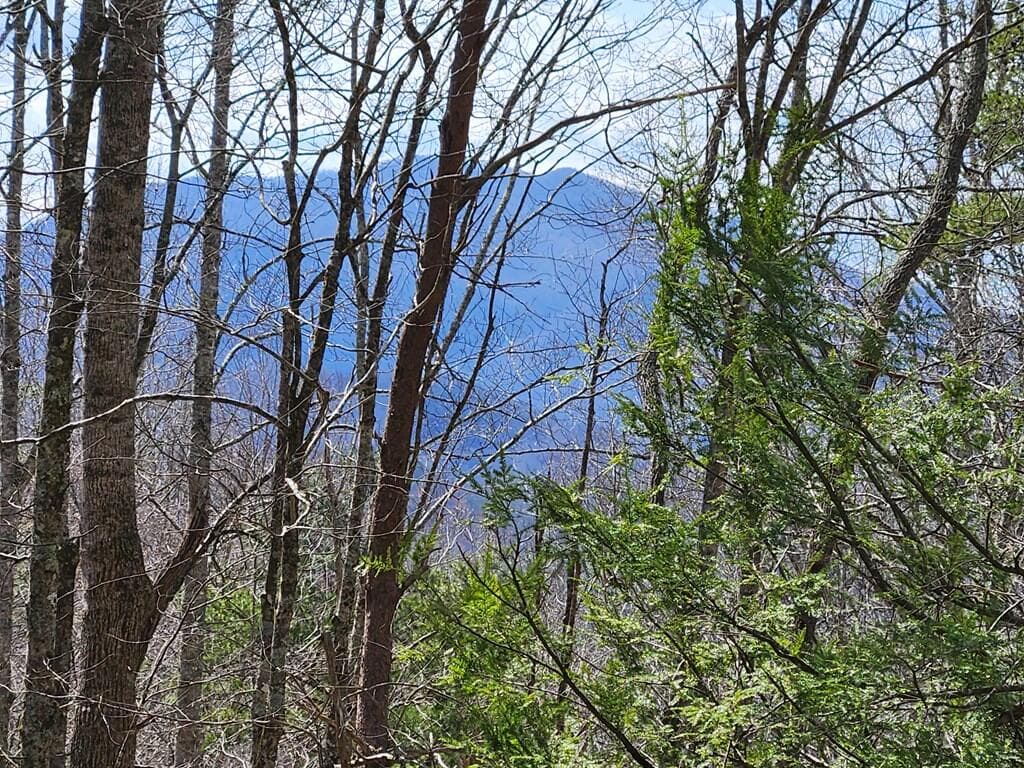 00 Camp Branch Road, Topton NC 28783 - Photo