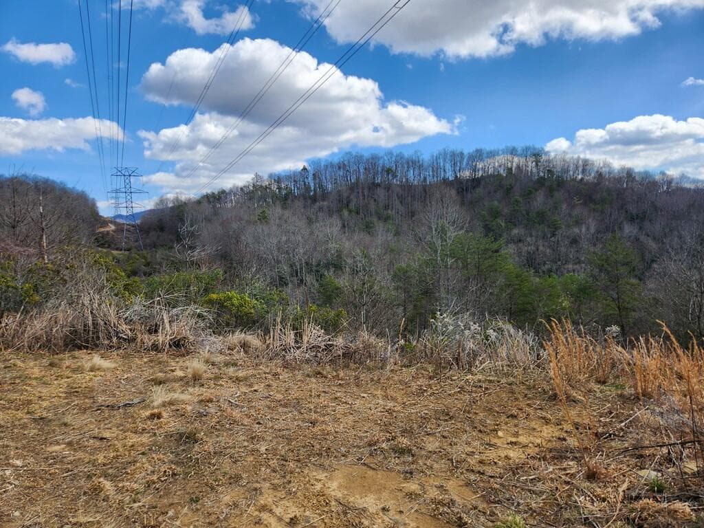 00 Camp Branch Road, Topton NC 28783 - Photo