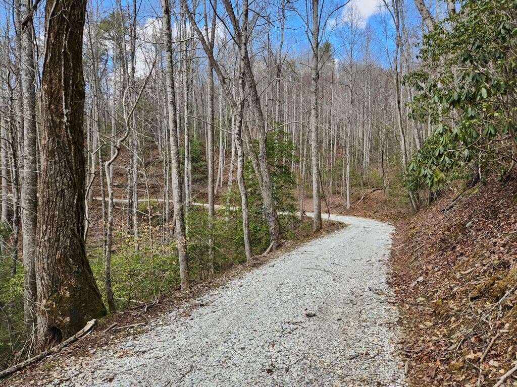 00 Camp Branch Road, Topton NC 28783 - Photo