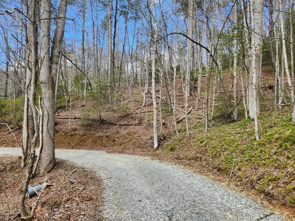 00 Camp Branch Road, Topton NC 28783 - Photo