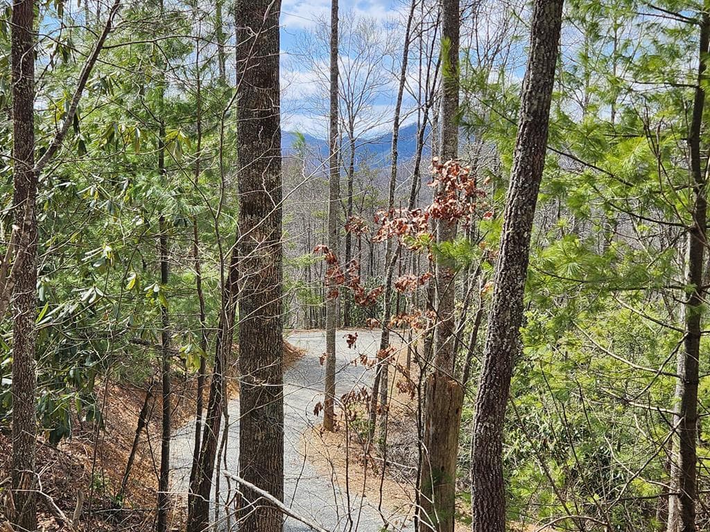 00 Camp Branch Road, Topton NC 28783 - Photo