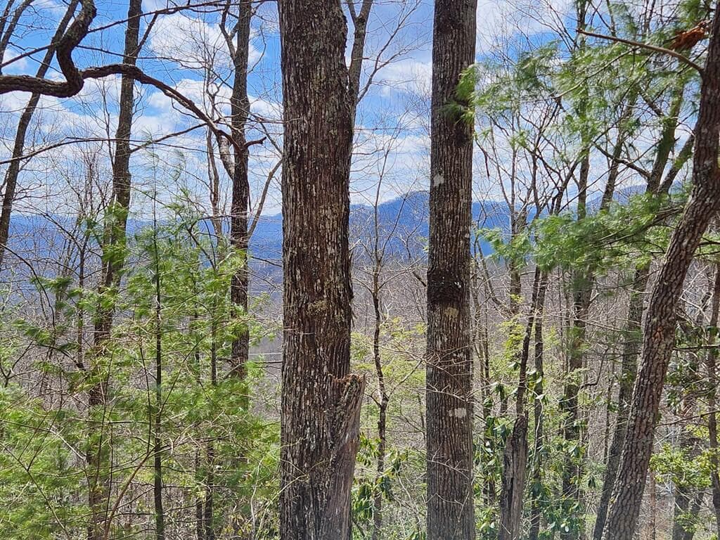 00 Camp Branch Road, Topton NC 28783 - Photo
