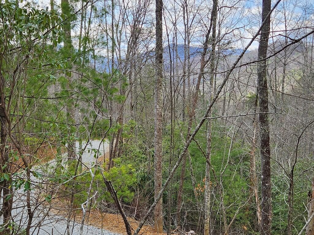 00 Camp Branch Road, Topton NC 28783 - Photo