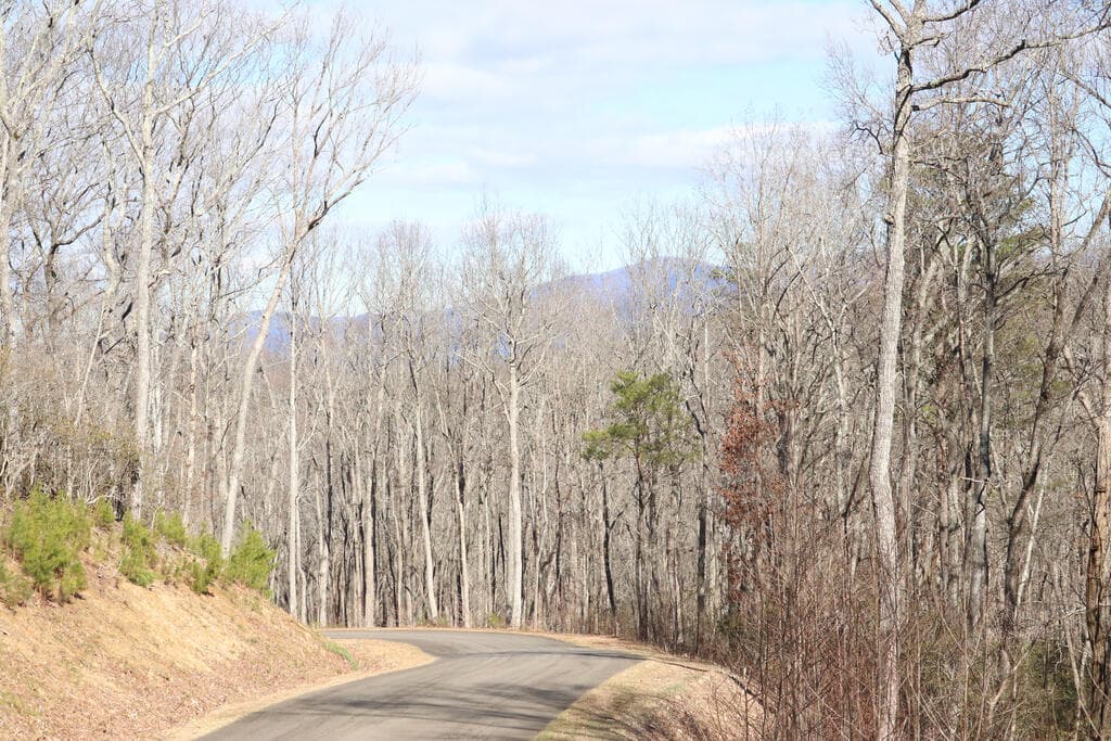 179 Trailwood Drive, Ellijay GA 30536 - Photo