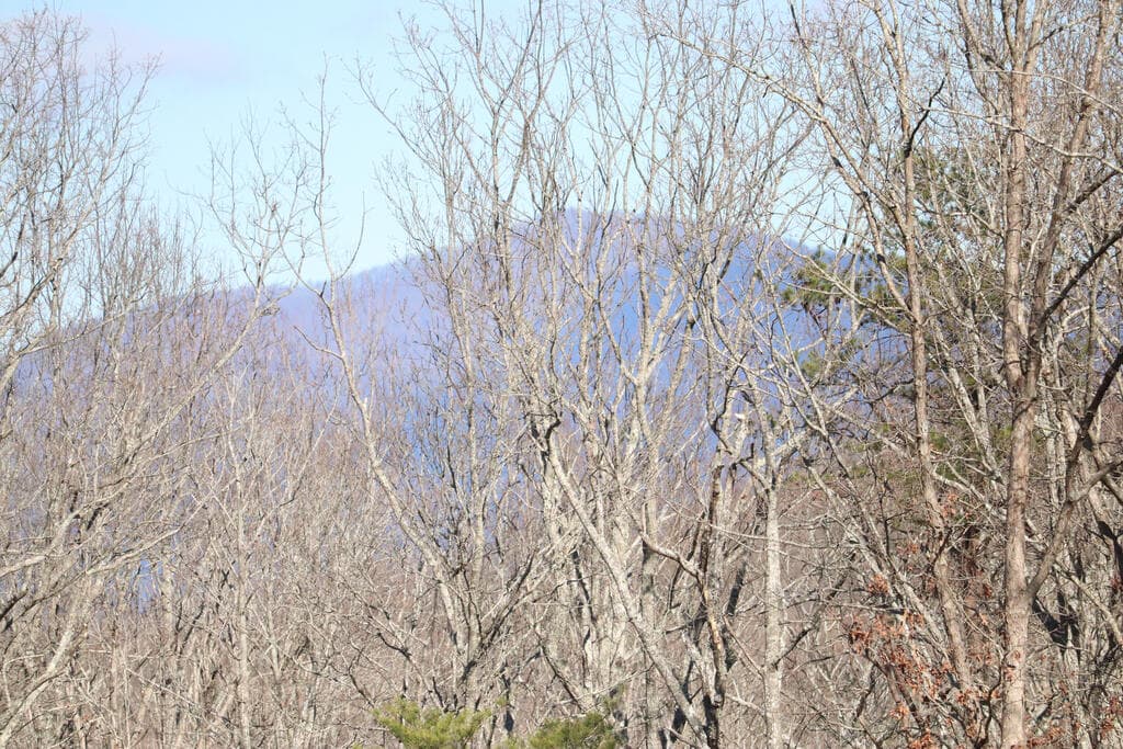 179 Trailwood Drive, Ellijay GA 30536 - Photo