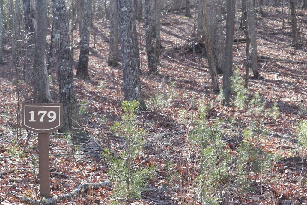 179 Trailwood Drive, Ellijay GA 30536 - Photo