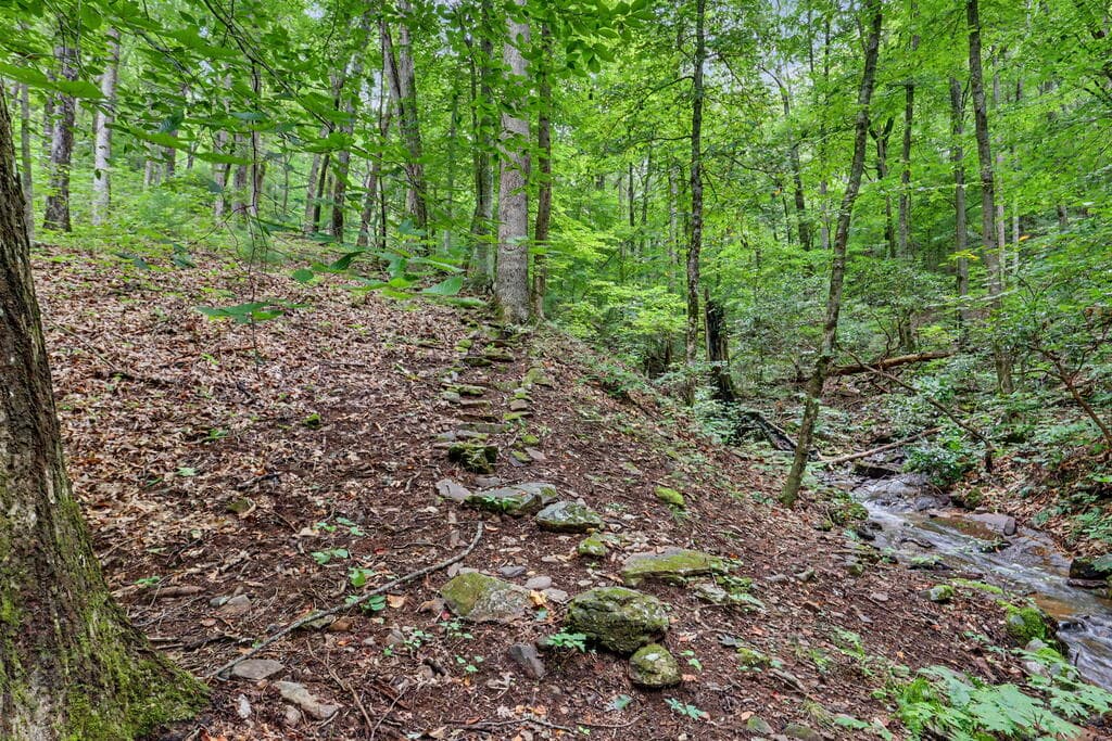 306 Choestoe Lane, Blairsville GA 30512 - Photo