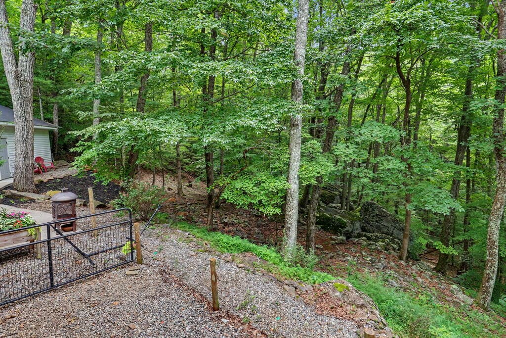 306 Choestoe Lane, Blairsville GA 30512 - Photo