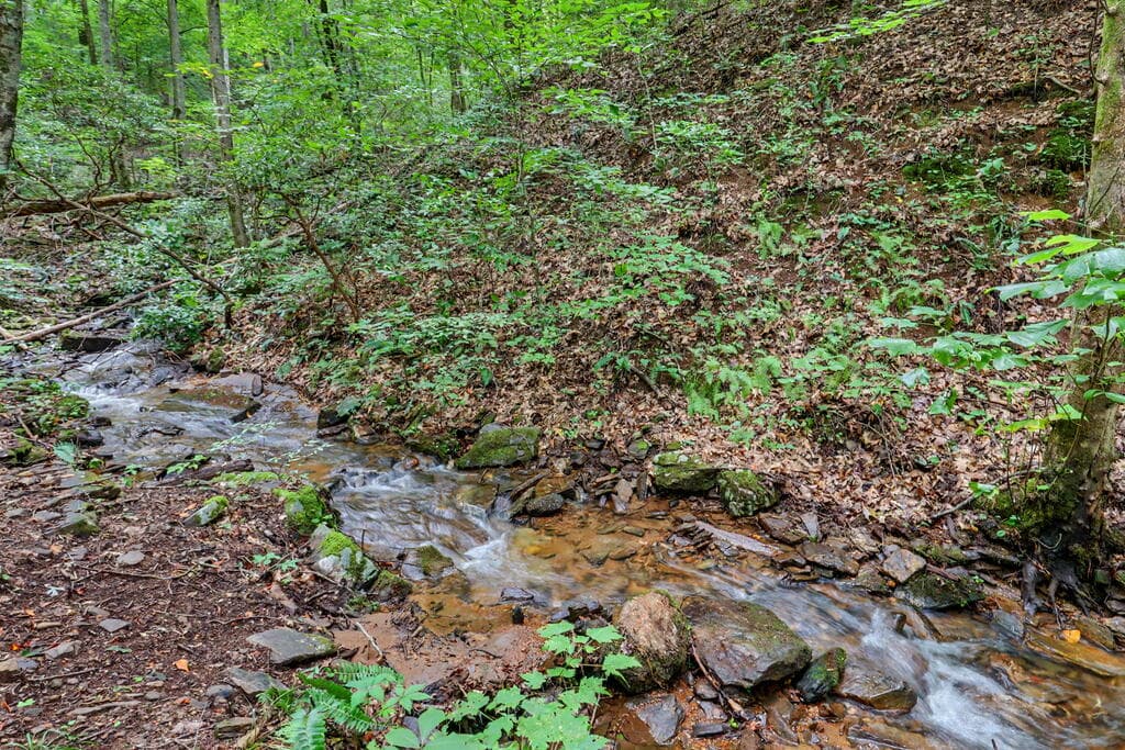 306 Choestoe Lane, Blairsville GA 30512 - Photo