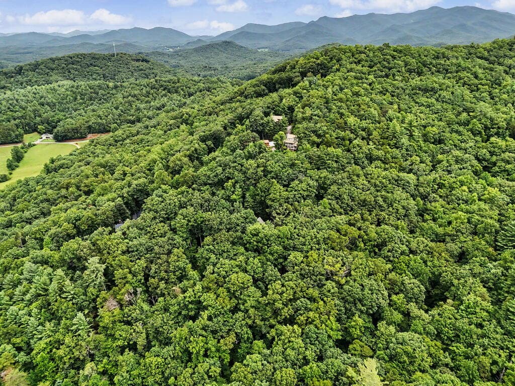 306 Choestoe Lane, Blairsville GA 30512 - Photo