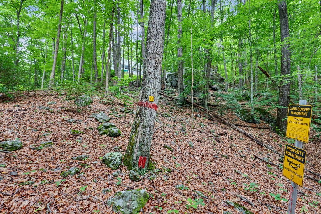 306 Choestoe Lane, Blairsville GA 30512 - Photo