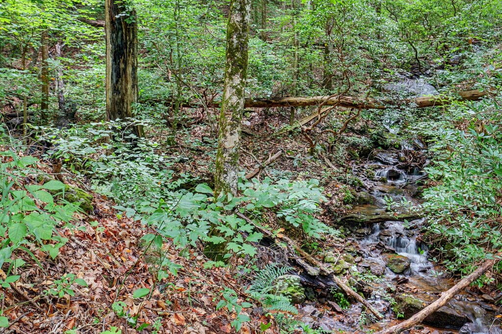 306 Choestoe Lane, Blairsville GA 30512 - Photo