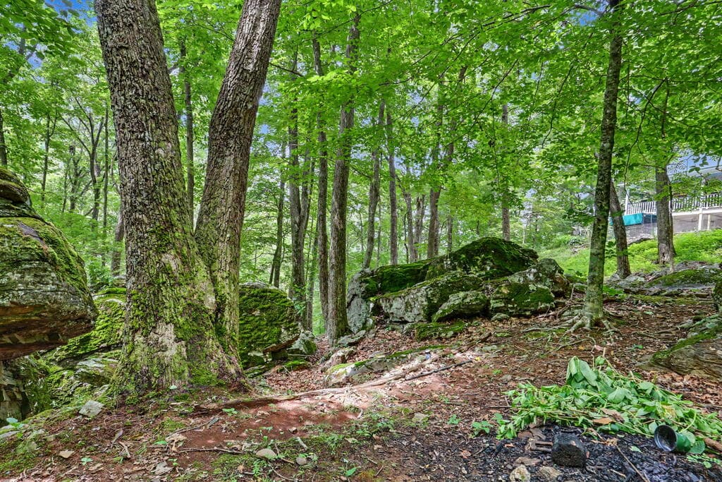 306 Choestoe Lane, Blairsville GA 30512 - Photo