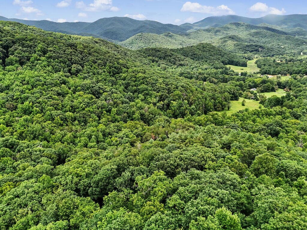 306 Choestoe Lane, Blairsville GA 30512 - Photo